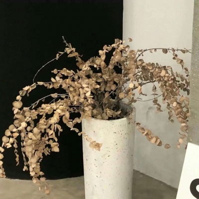 金城江福瑞交流群